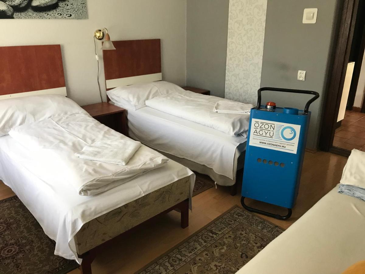 Erika Vendeghaz Hotel Szentendre Bagian luar foto